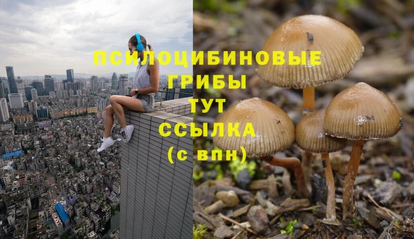 герыч Нефтекумск