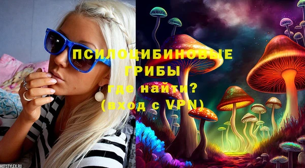 спайс Нея