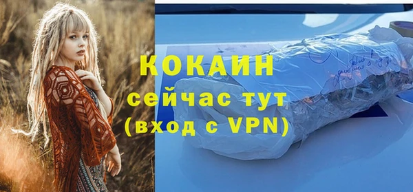 спайс Нея
