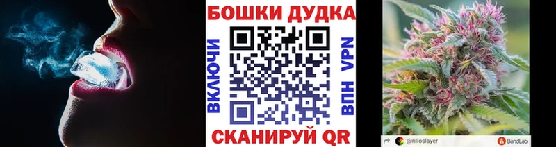 Бошки Шишки планчик  Купить  Лиски 